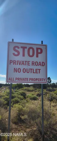 a view of a backyard with plants and large trees