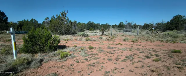 a vase of flowers sitting on a table