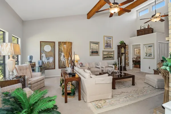 a living room with furniture potted plant floor to ceiling windows and a fireplace