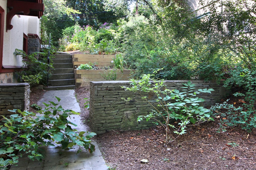 57 Winthrop Road, Unit 1 Brookline, MA 02445 - Photo 17 of 17 a view of a garden with plants