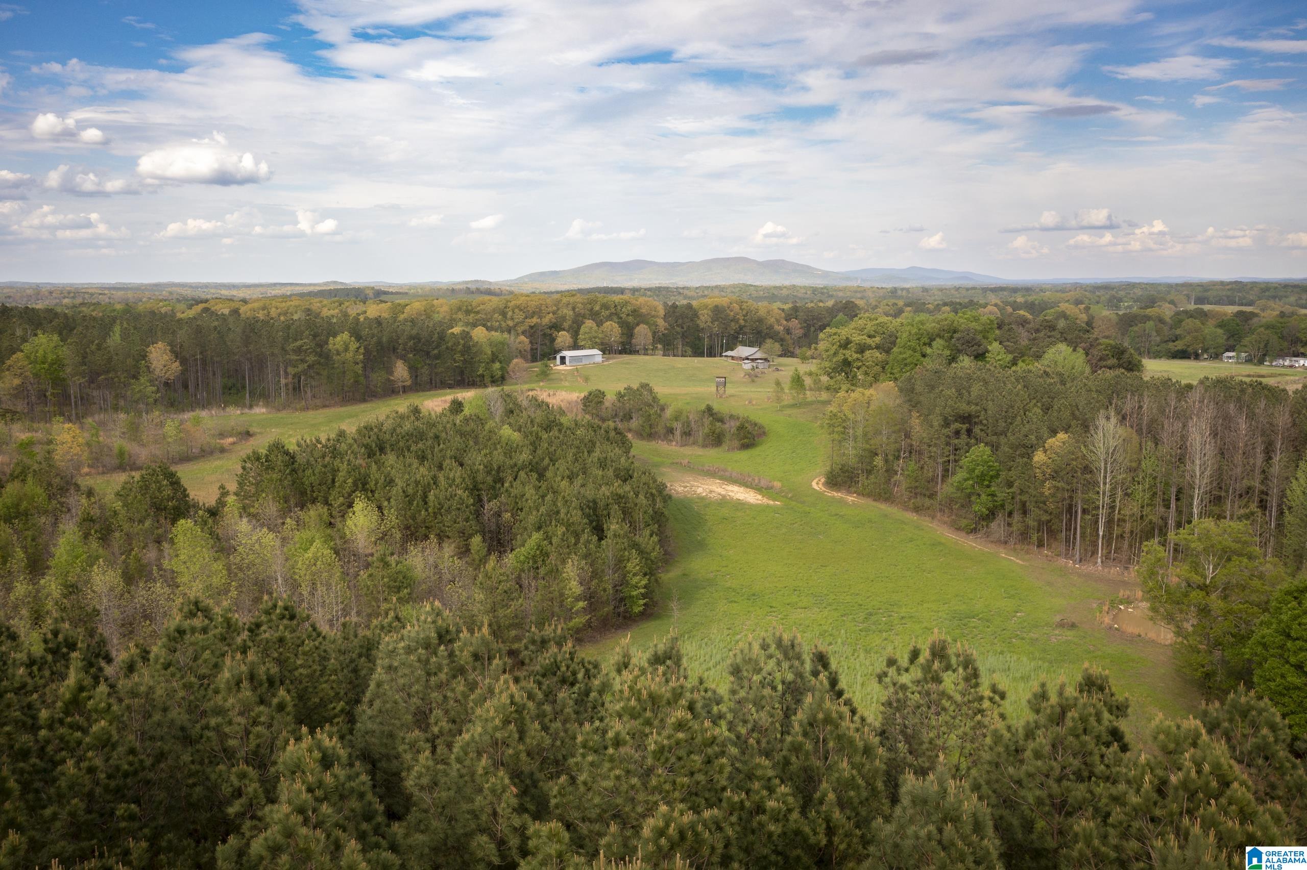 1325 Ledbetter Road Munford, AL 36268 - Photo 60 of 85