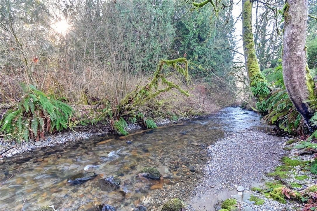 15220 OK Mill Road Snohomish, WA 98290 - Photo 3 of 26 a backyard of a house with lots of green space