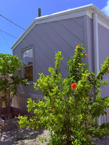 a view of a backyard with plants