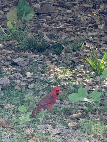 $362,000 | 27960 Porgie Path, Summerland Key, FL 33042