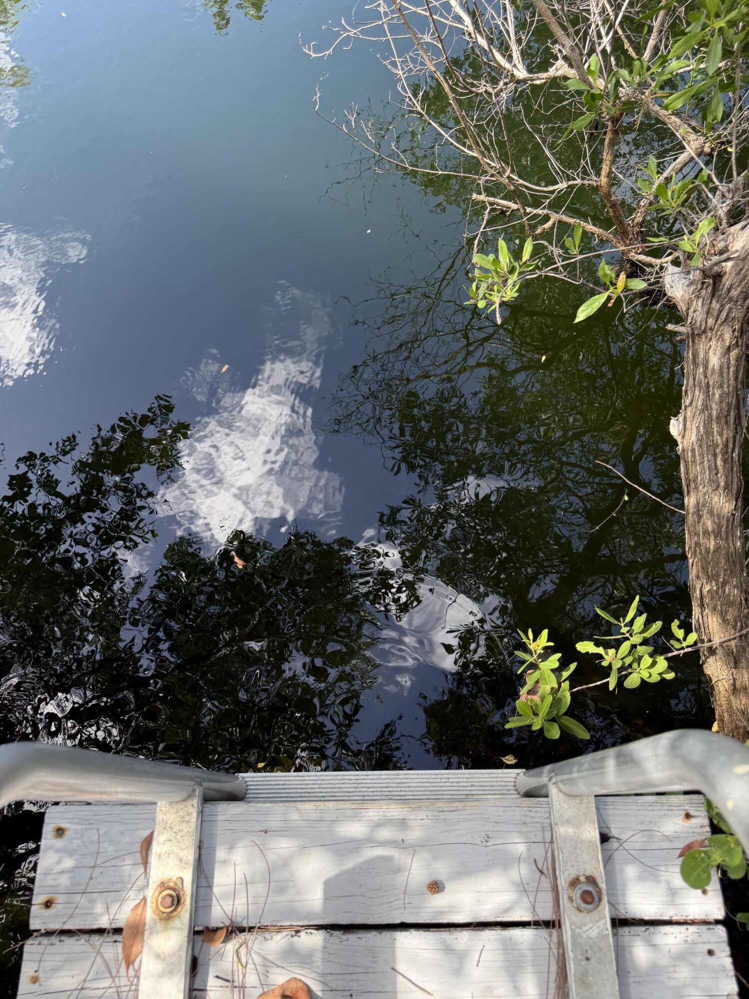 27960 Porgie Path Summerland Key, FL 33042 - Photo 4 of 30 a view of a garden