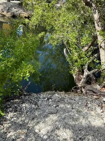 a view of a house with a small yard