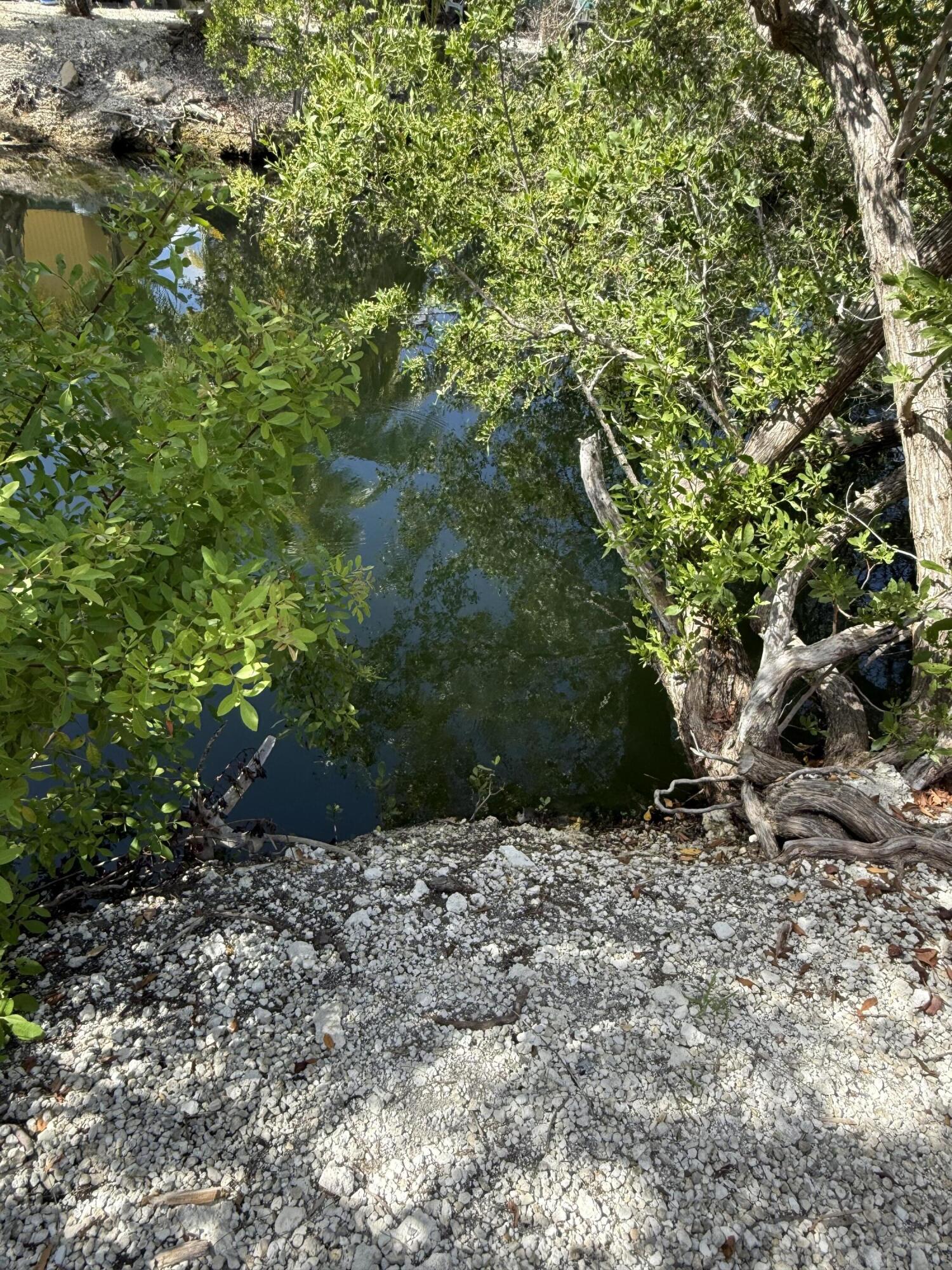 27960 Porgie Path Summerland Key, FL 33042 - Photo 9 of 30 a view of plants and trees