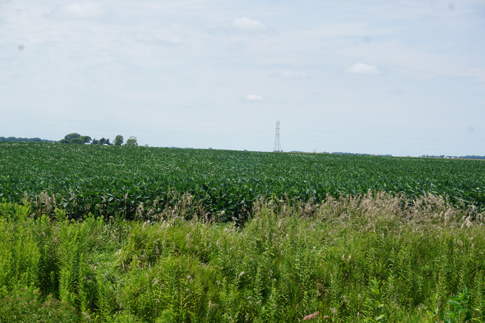 5-6 16n Point Mineral, IL 61344 - Photo 2 of 7