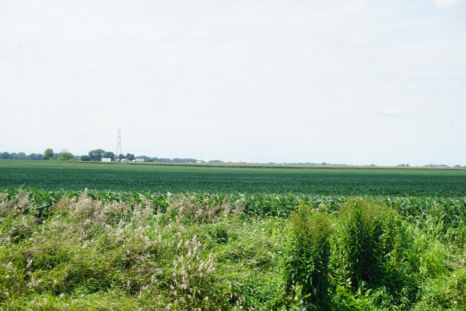 5-6 16n Point Mineral, IL 61344 - Photo 5 of 7