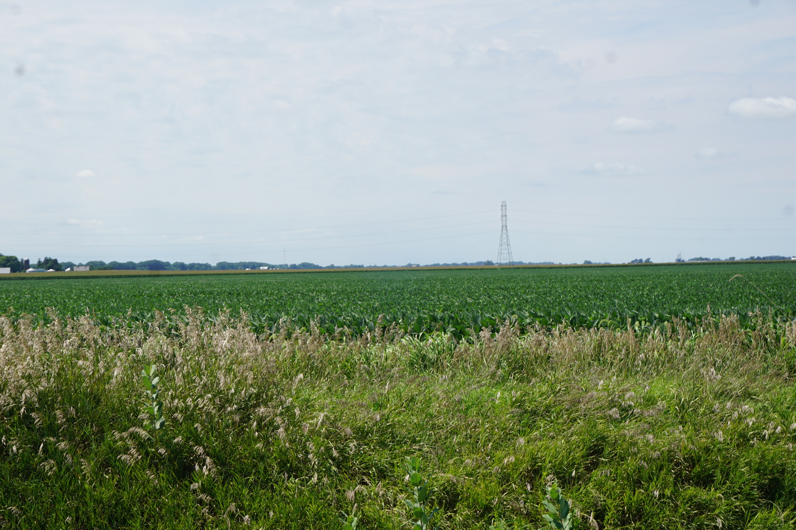 5-6 16n Point Mineral, IL 61344 - Photo 6 of 7