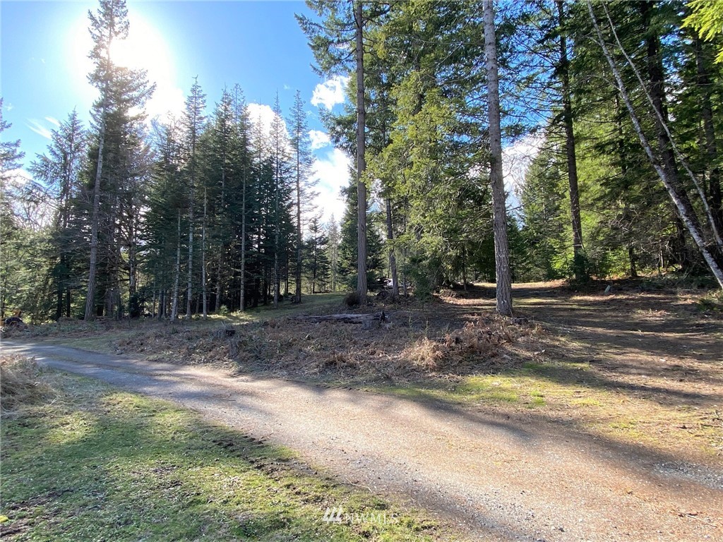 365 Craig Road Packwood, WA 98361 - Photo 12 of 34 Gallery Image 12