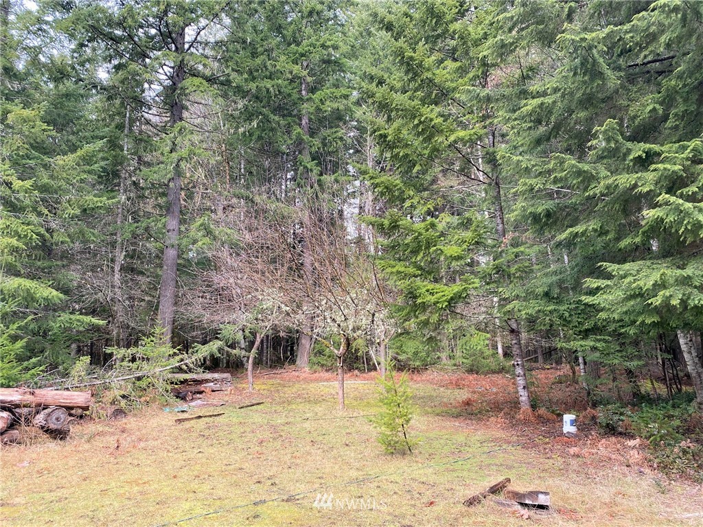 365 Craig Road Packwood, WA 98361 - Photo 14 of 34 Gallery Image 14
