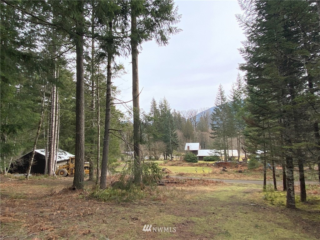 365 Craig Road Packwood, WA 98361 - Photo 15 of 34 Gallery Image 15