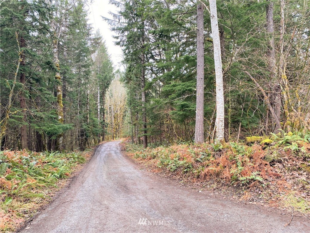 365 Craig Road Packwood, WA 98361 - Photo 16 of 34 Gallery Image 16