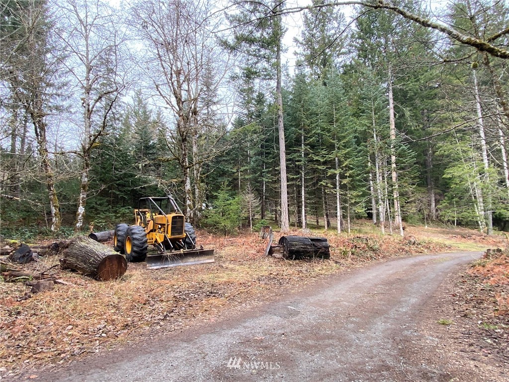 365 Craig Road Packwood, WA 98361 - Photo 17 of 34 Gallery Image 17