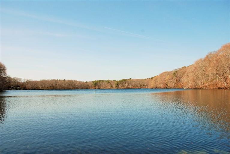 11 Shaker House Road Sandwich, MA 02563 - Photo 1 of 16 Primary Photo