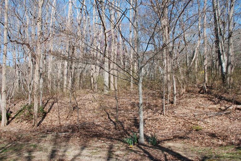 11 Shaker House Road Sandwich, MA 02563 - Photo 5 of 16 Additional Photo