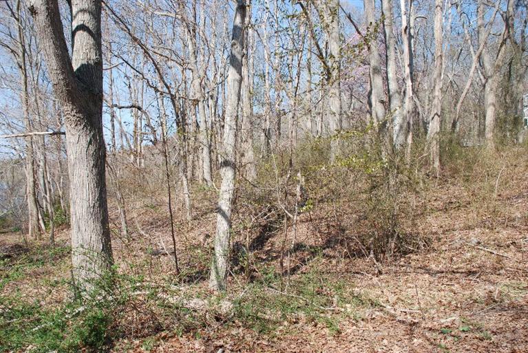11 Shaker House Road Sandwich, MA 02563 - Photo 6 of 16 Additional Photo