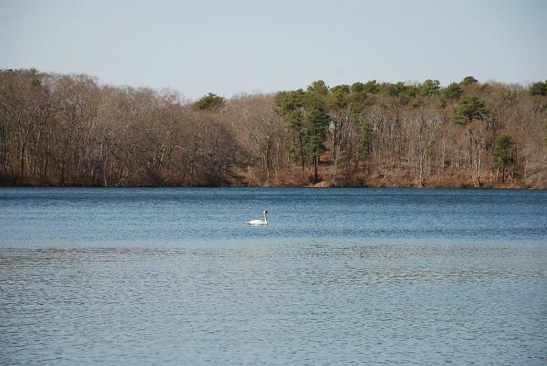11 Shaker House Road Sandwich, MA 02563 - Photo 8 of 16 Additional Photo