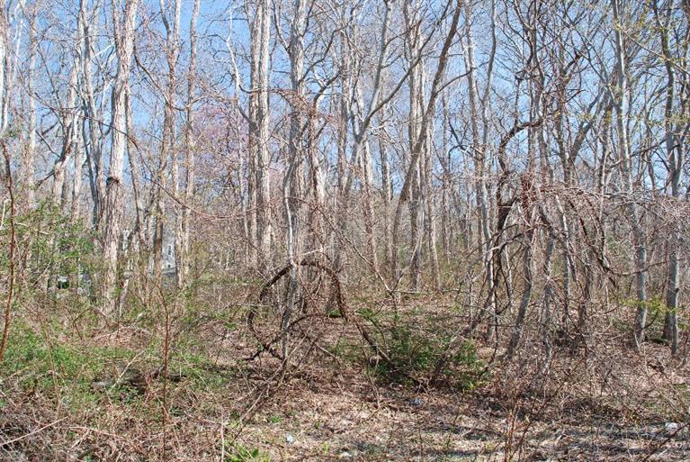 11 Shaker House Road Sandwich, MA 02563 - Photo 9 of 16 Additional Photo