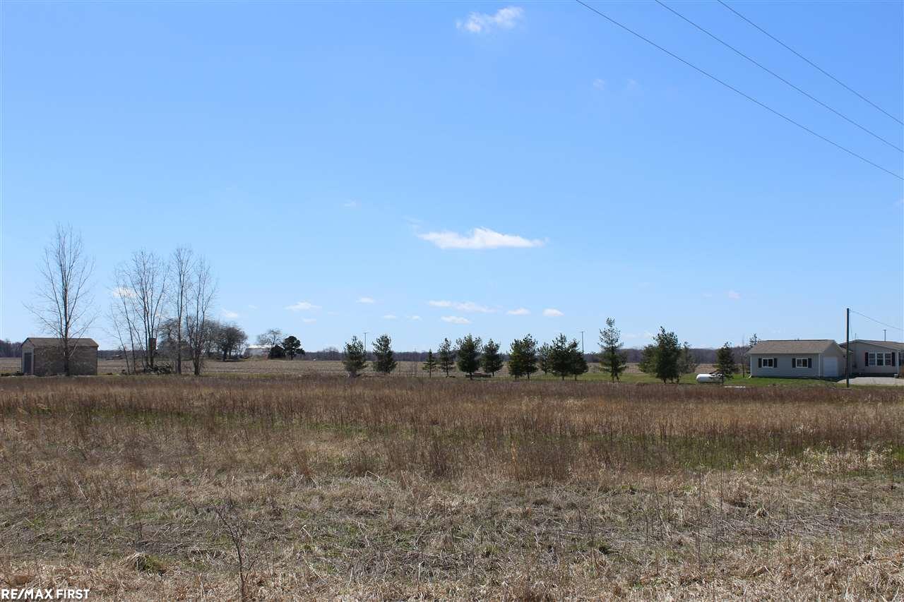0 Connell Road Yale, MI 48097 - Photo 1 of 2 50213335-60DEF6F5-27D1-43EB-A9BA-D28FA4BD9C13.JPG