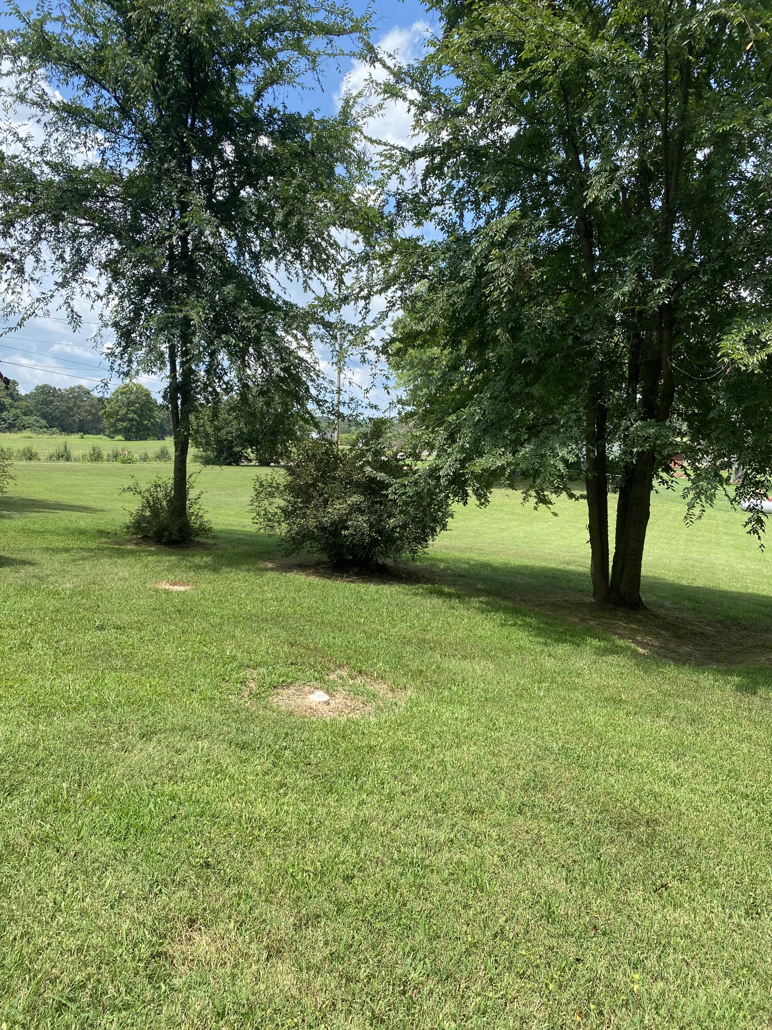 2019 Pinnacle Road Pleasant View, TN 37146 - Photo 21 of 24 a view of yard with green space