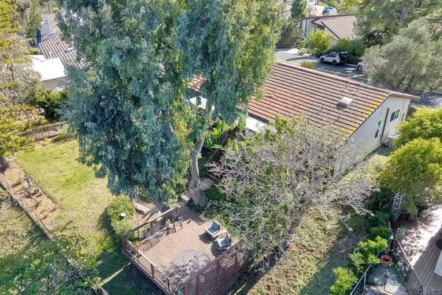 a view of a yard with plants and a bench