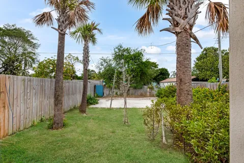 a view of a yard with a palm trees