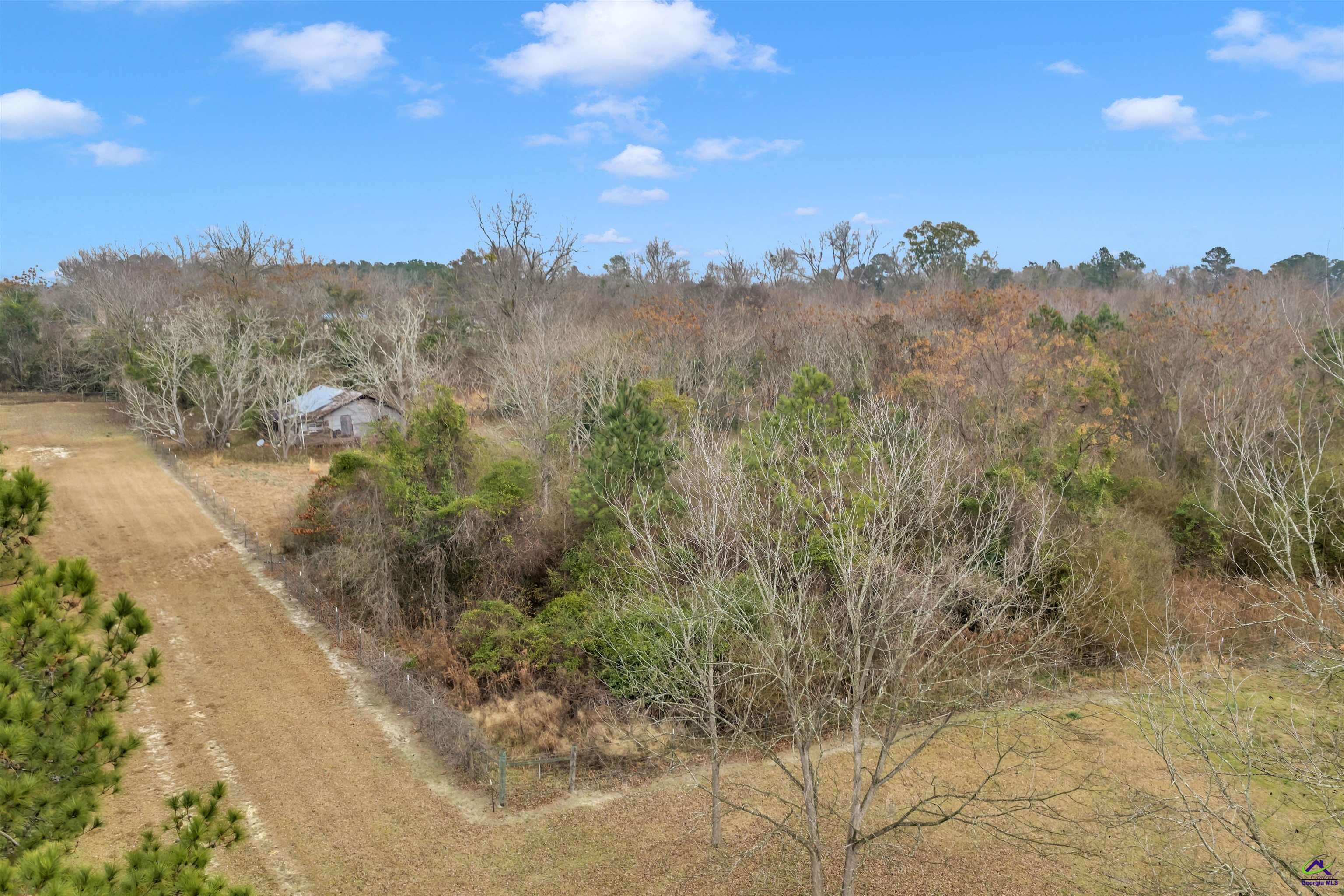 0 Mt Calvery Church Road Pineview, GA 31071 - Photo 10 of 10