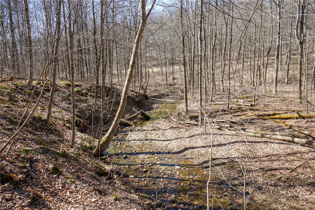 Cooks Hill Road Glenford, OH 43739 - Photo 22 of 46 View of landscape with a wooded view