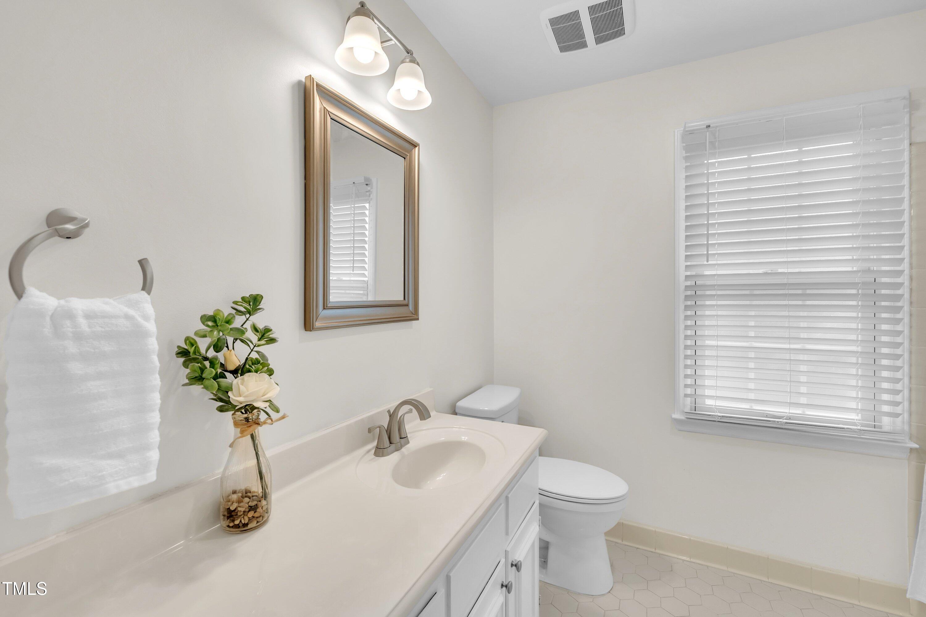 7405 Chippenham Court Raleigh, NC 27613 - Photo 24 of 52 a bathroom with a sink a toilet and mirror