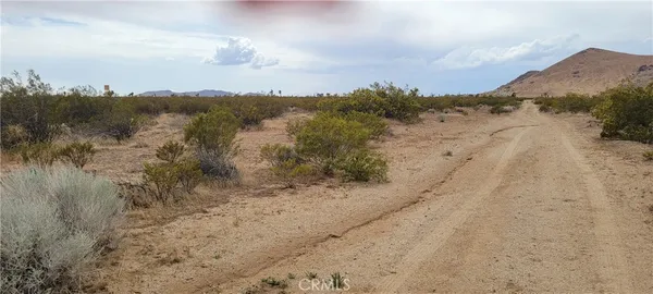 a view of a dry field with trees in the background