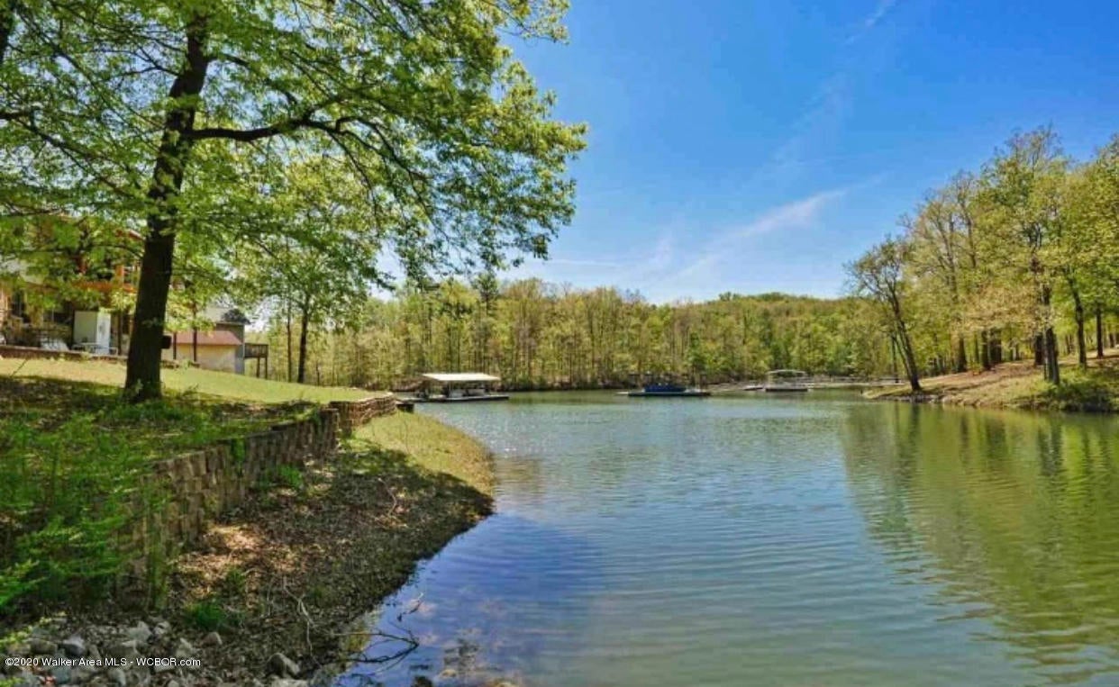 623 Raccoon Branch Road Jasper, AL 35504 - Photo 5 of 17 Gallery Image 5