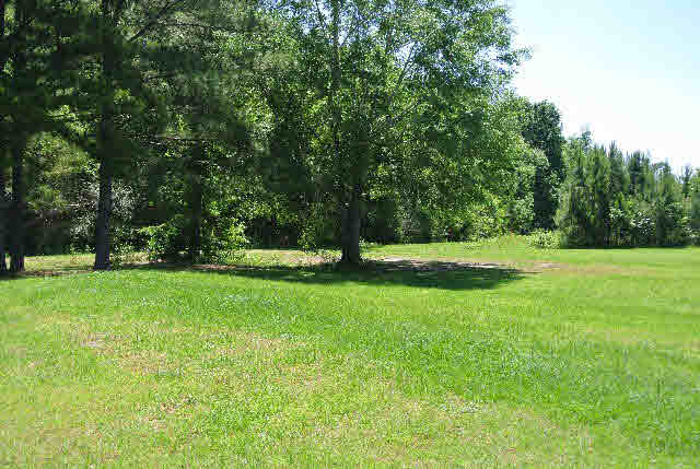 26210 Rifleman Road Elberta, AL 36530 - Photo 12 of 13