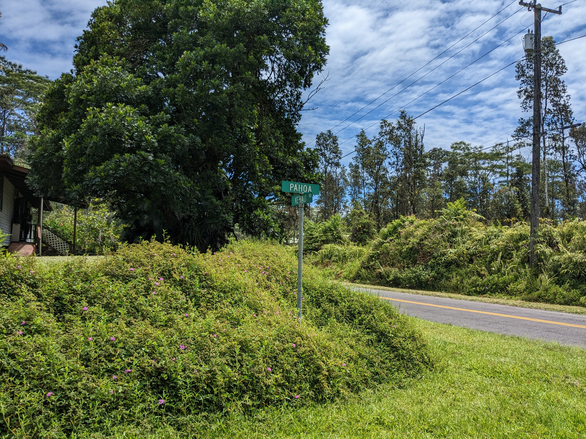 785 Pahoa Road Pahoa, HI 96778 - Photo 16 of 20 a view of a garden with plants and large trees