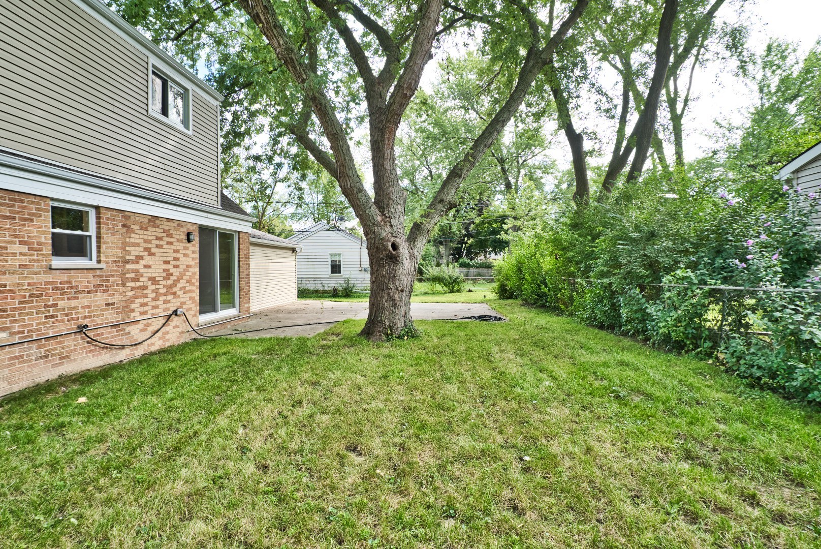 378 Glendale Road Buffalo Grove, IL 60089 - Photo 19 of 23 a view of a backyard with large trees