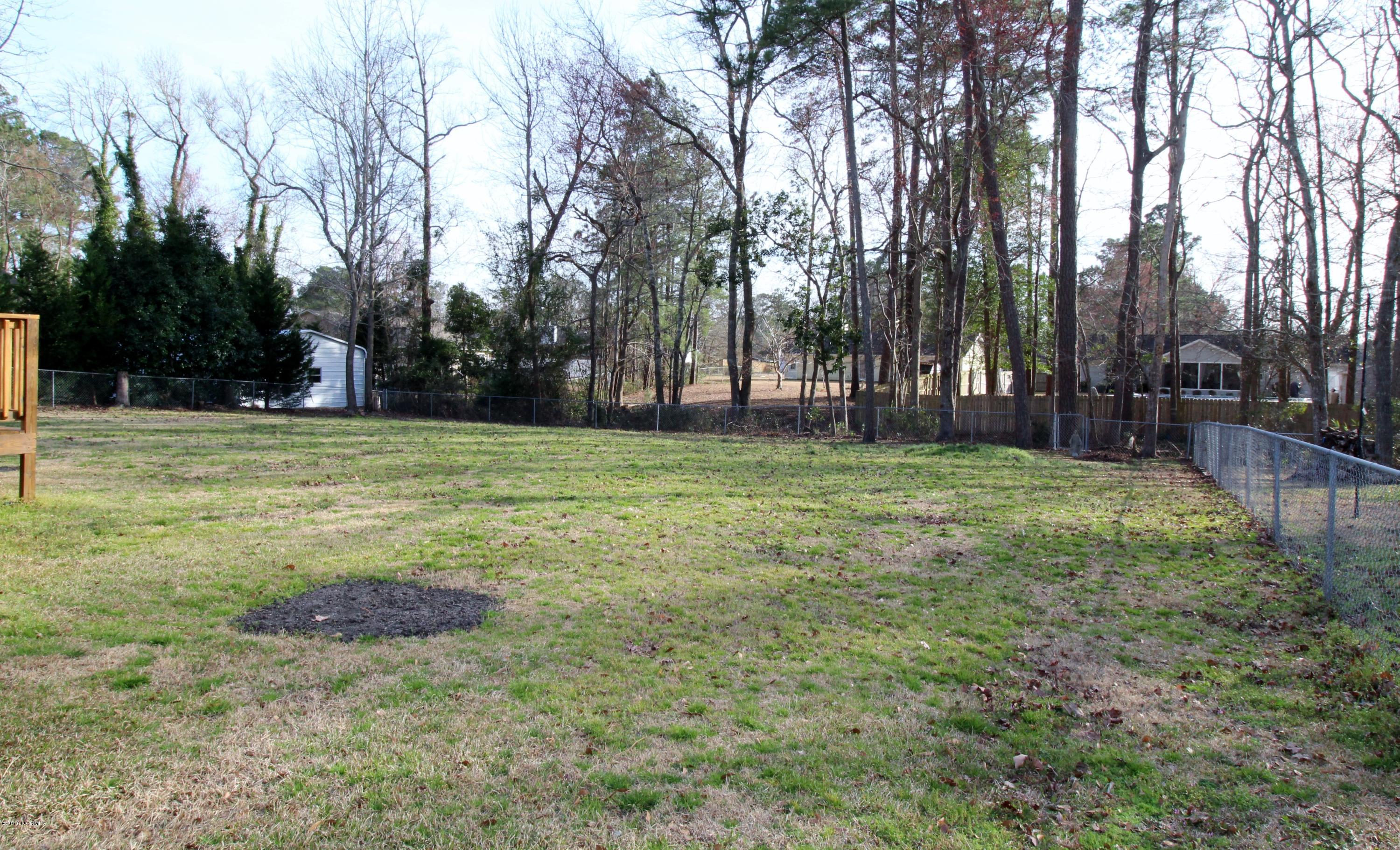 102 Manchester Road Havelock, NC 28532 - Photo 28 of 32 Back yard