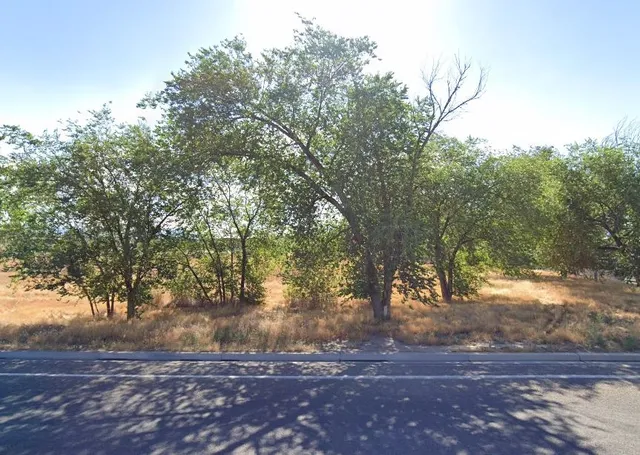 a view of a yard with large trees