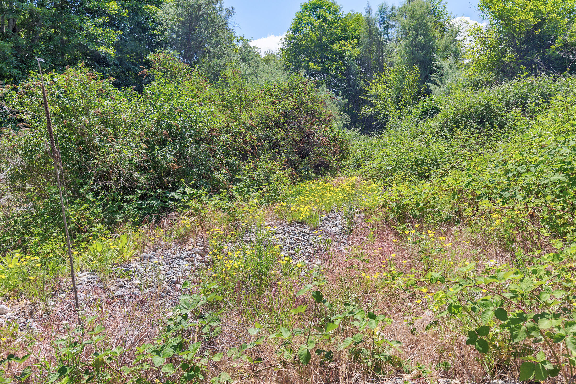 14921 North Applegate Road Grants Pass, OR 97527 - Photo 79 of 123 14921applegate110