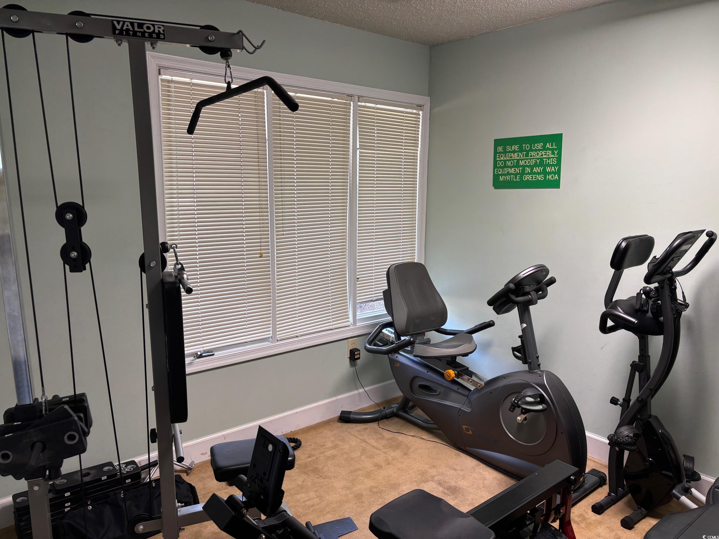 320 A Myrtle Greens Drive, Unit 320A Conway, SC 29526 - Photo 14 of 15 Exercise area featuring light carpet and a textured ceiling