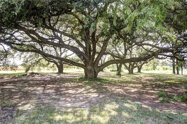 $575,000 | 646 Fish Hatchery Road, Natchitoches, LA 71457