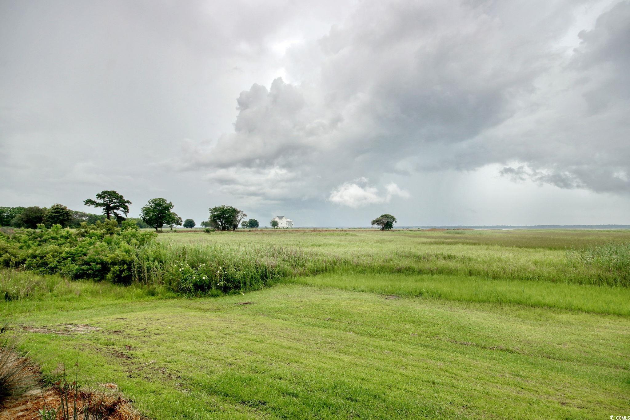 125 Oak Bay Drive Georgetown, SC 29440 - Photo 36 of 39 View of yard with a view of countryside