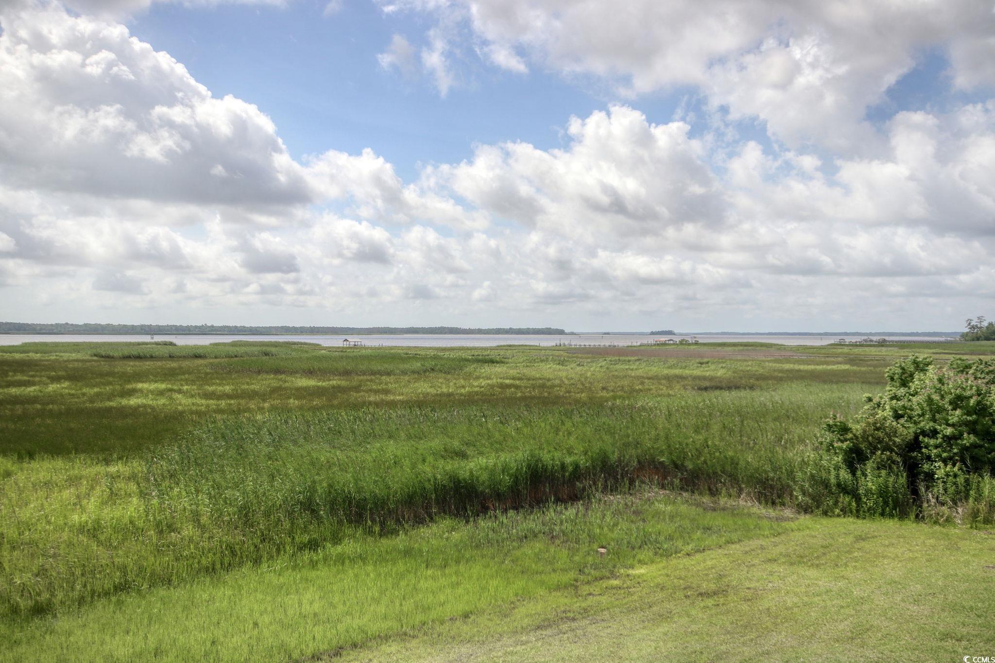 125 Oak Bay Drive Georgetown, SC 29440 - Photo 6 of 39 View of undeveloped land with a large body of water