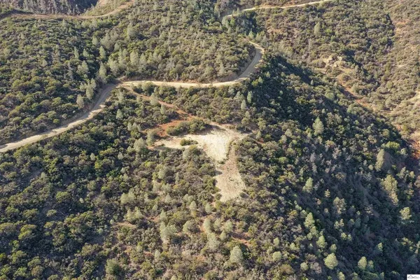 a view of a house with a tree