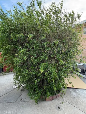 a room with furniture