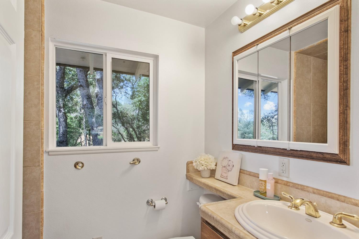 18950 Black Oak Road Sonora, CA 95370 - Photo 29 of 46 a bathroom with a sink and a mirror