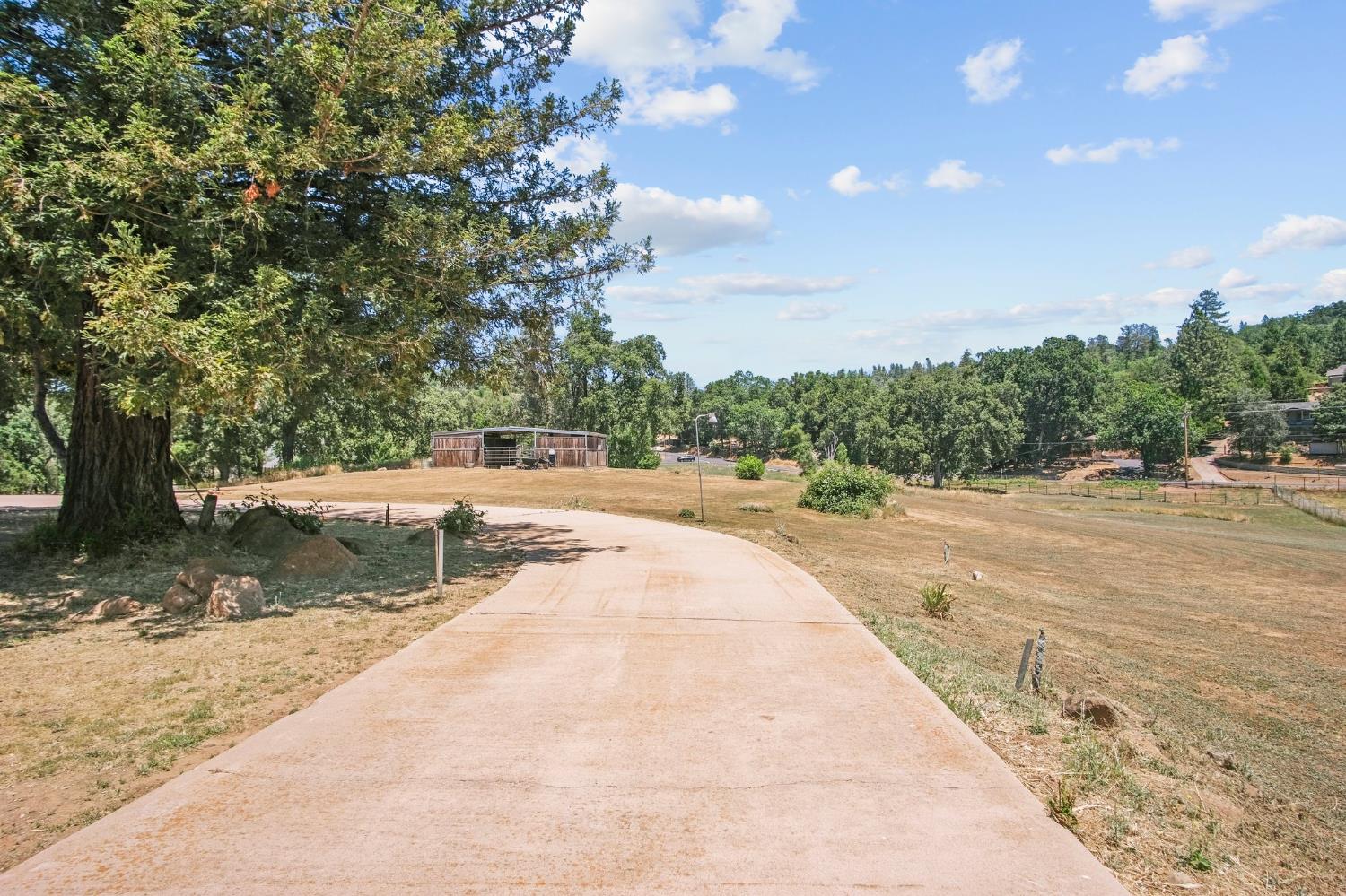 18950 Black Oak Road Sonora, CA 95370 - Photo 38 of 46 a view of a yard