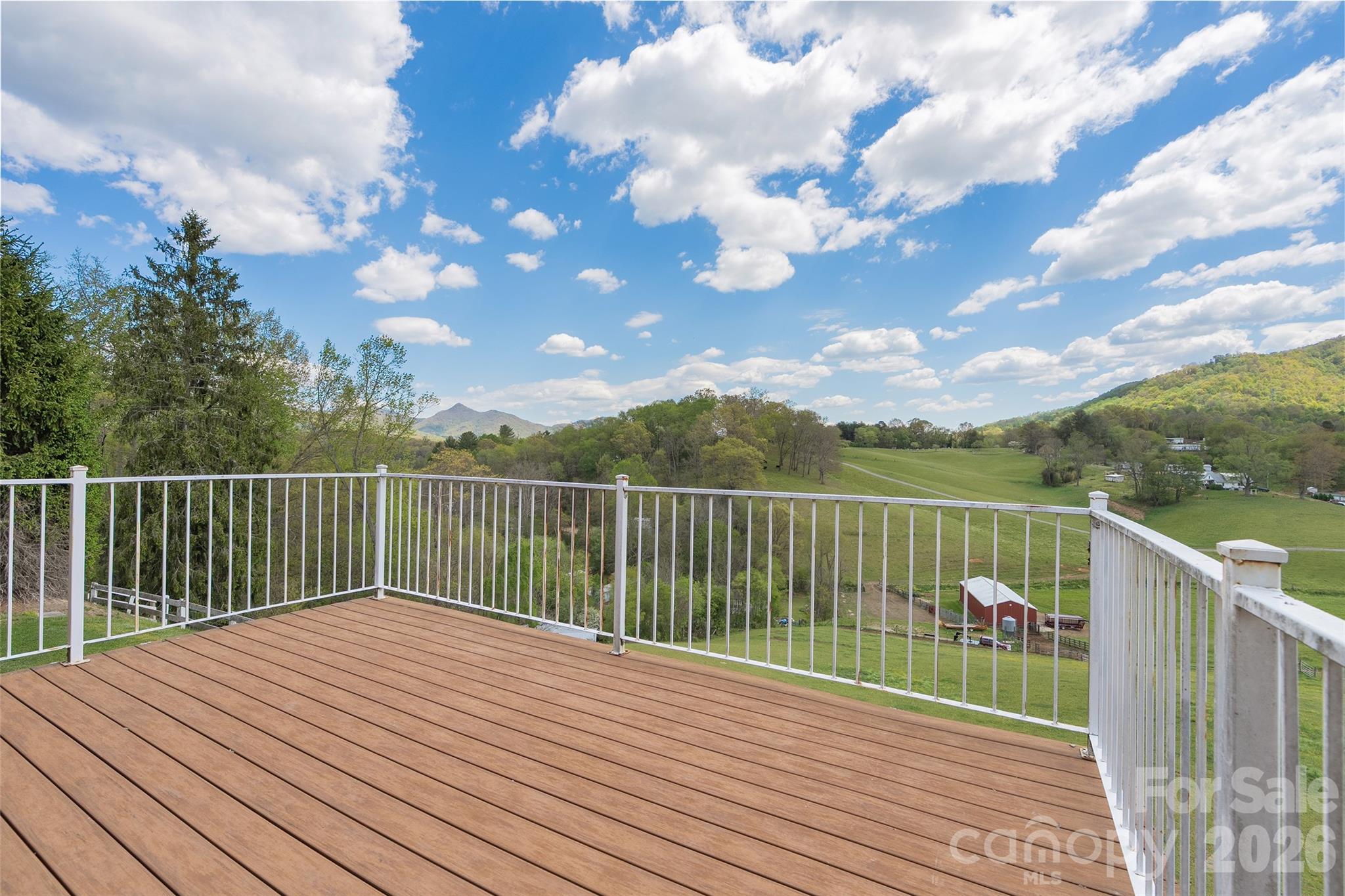 441 Mulberry Street Clyde, NC 28721 - Photo 16 of 42
