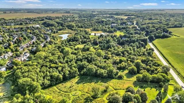 a view of a yard with an umbrella