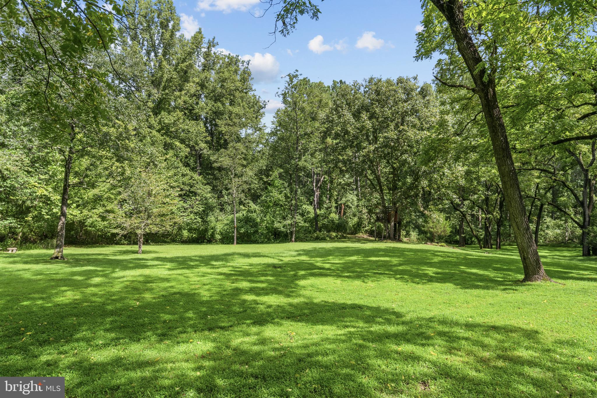263 Lizzie Mills Road Castleton, VA 22716 - Photo 30 of 34 Gallery Image 30